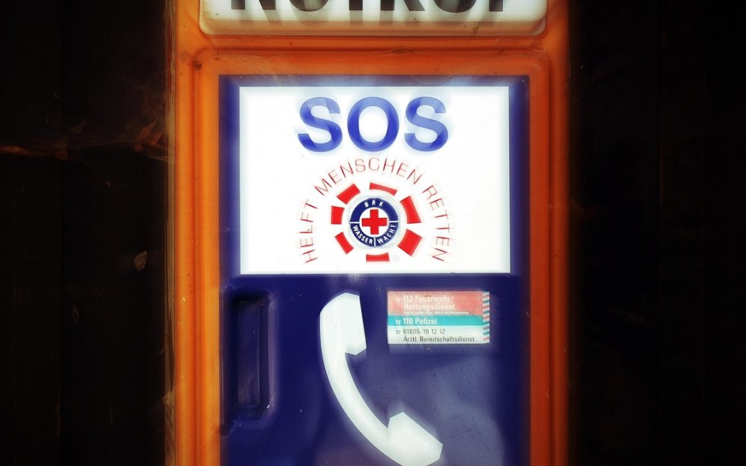 Dinas Damkar Batang Tangani Pohon Tumbang di Area Wisata