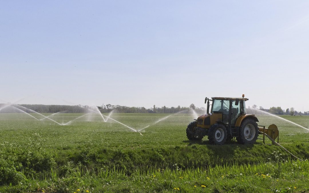 Penyemprotan Disinfektan